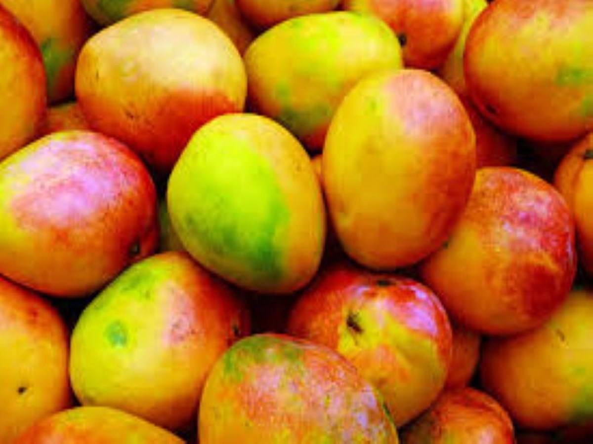 10 Unknown Facts About Mango