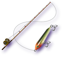 Fishing Rod | Zeldapedia | Fandom