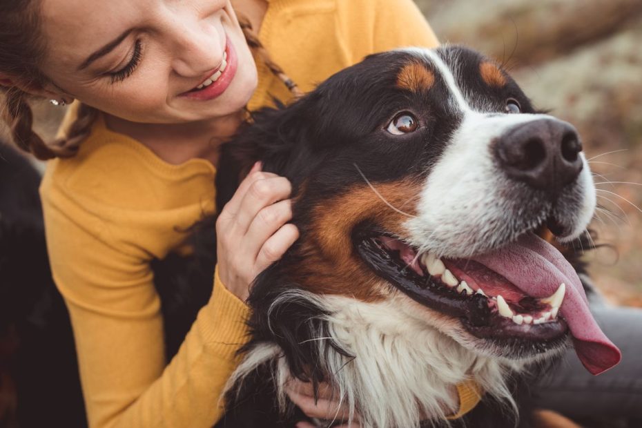 Do Dogs Really Make Us Happier? - Wsj