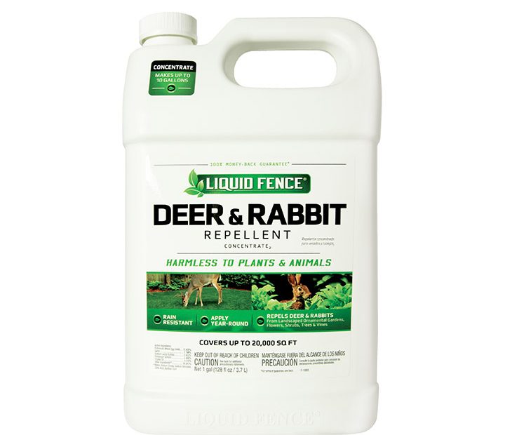 Deer & Rabbit Repellent Concentrate2 | Liquid Fence