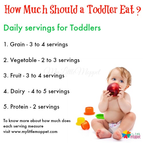 How Much Should A Toddler Eat? - My Little Moppet