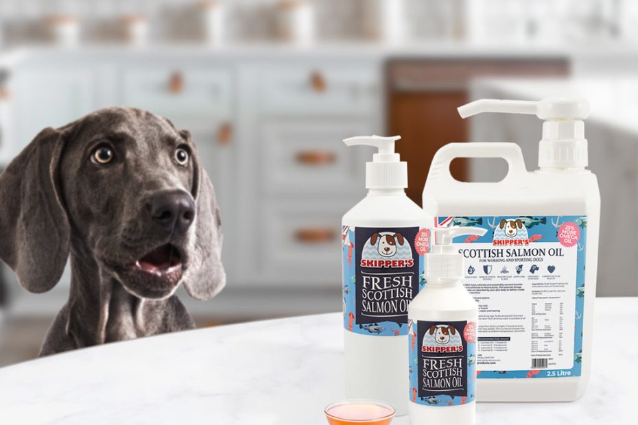 Is Salmon Oil Good For Dogs? Benefits Of Salmon Oil – Skipper'S Pet Products