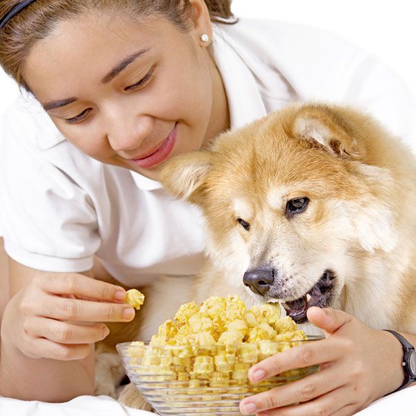 Can Dogs Eat Popcorn? – Dogster
