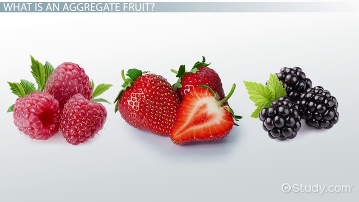 What Type Of Fruit Is A Strawberry Classified As (Simple, Aggregate,  Multiple, Or Accessory)? What Dispersal Method Does It Use? |  Homework.Study.Com