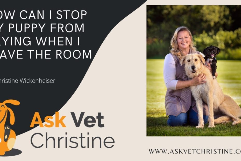 How Can I Stop My Puppy From Crying When I Leave The Room? - Youtube