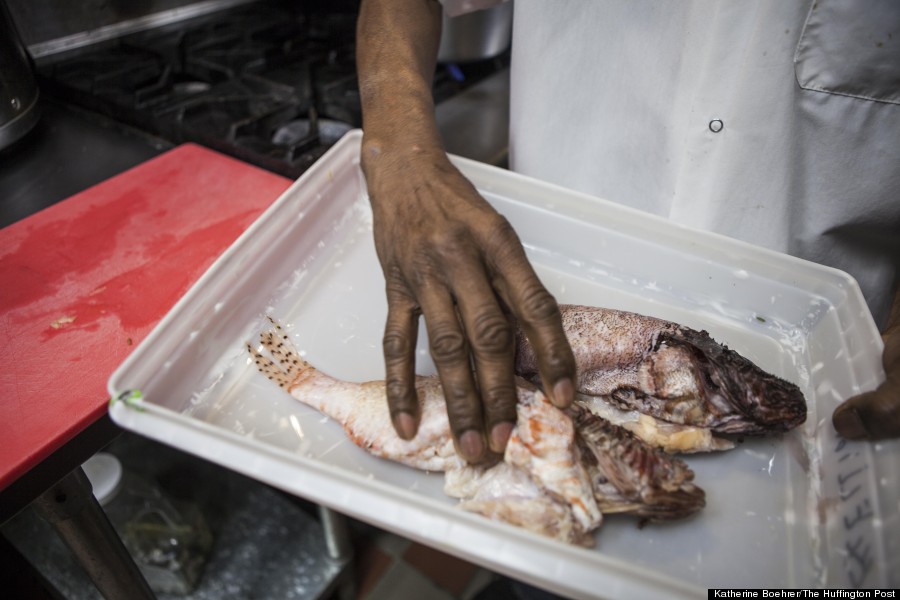 Eat The Enemy: 3 Ways To Cook Lionfish, The New King Of The Underwater  Jungle | Huffpost Impact