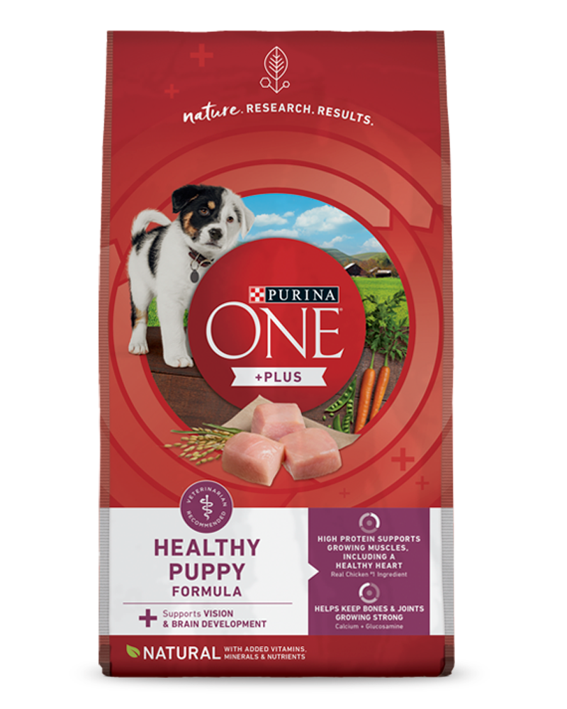 Purina One +Plus Healthy Puppy Dry Dog Food | Purina