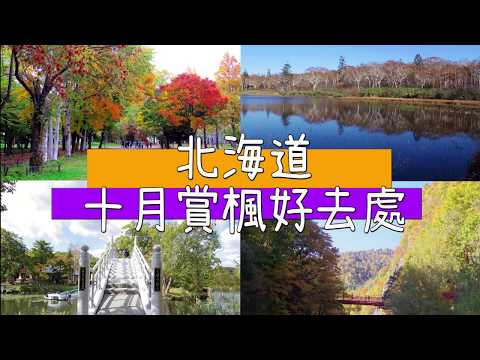 【日本北海道】十月賞楓好去處~2分鐘帶你去一趟北海道~